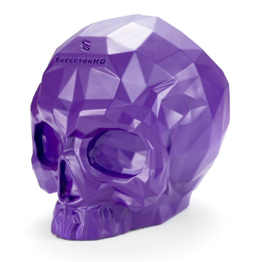 FREE GIFT - Large Purple Matrix Skull ( $100 value )